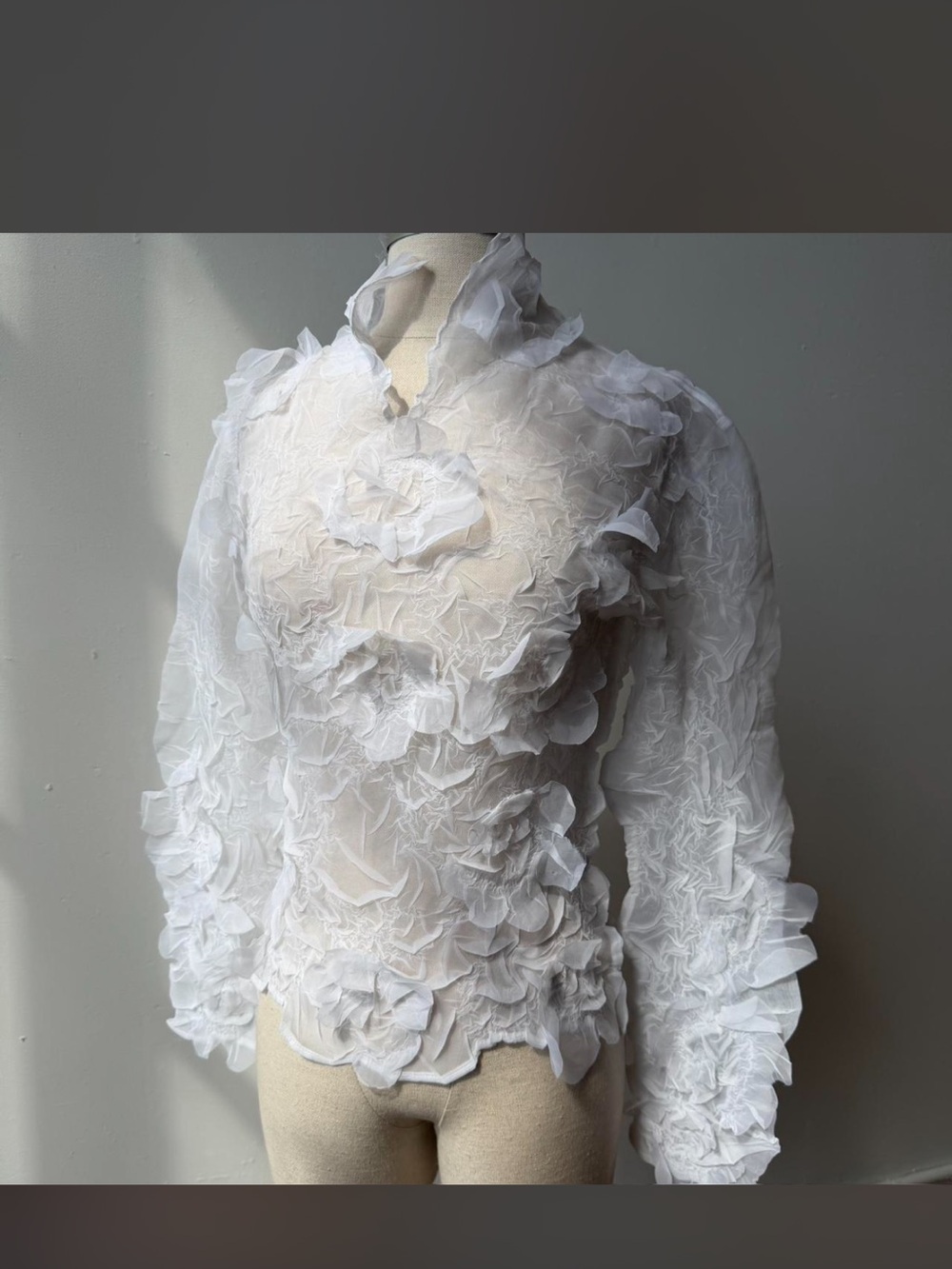 🦄 Vintage RARE Hugging kisses 💋 Sheer White Petal Appliqué Blouse size 1